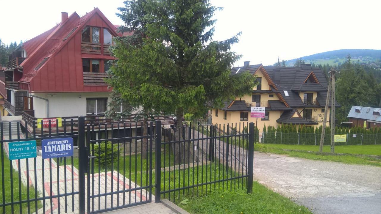 Apartament 33.13.A. Закопане Екстериор снимка